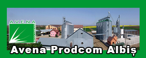 www.avenaalbis.ro Avena prodcom Albis Bihor,  Ferma, agricola, producator, agricol, depozitare, grau, porumb, floarea soarelui, soia, utilaje, agricole, agricultura, cereale, Olah Sandor, 
